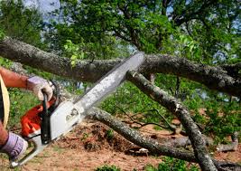 Best Lawn Drainage Solutions  in Creedmoor, NC